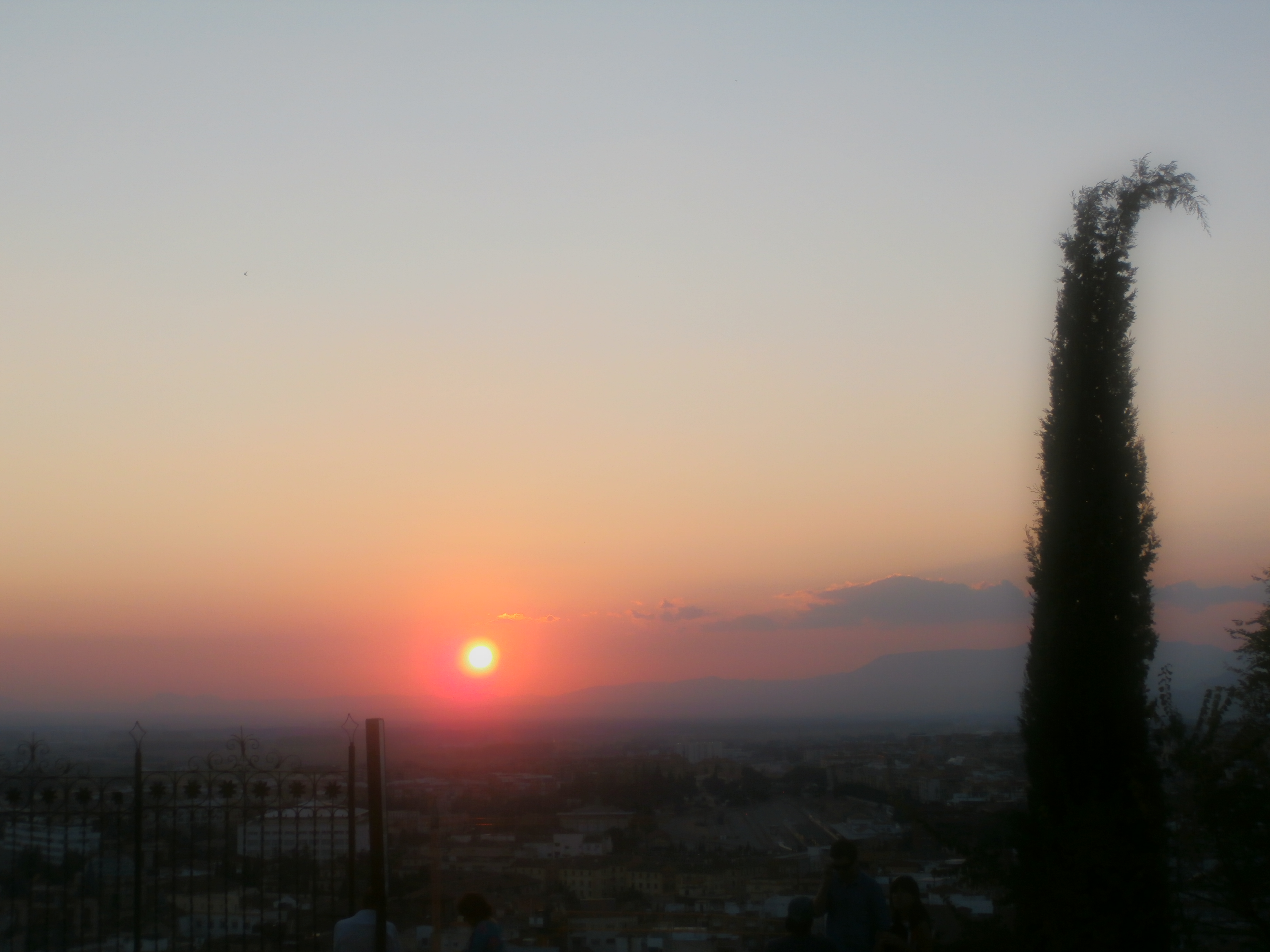 Going A.W.O.L in Grana’a